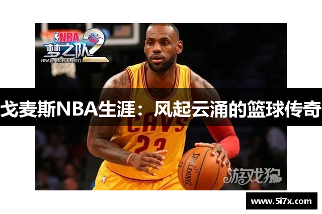 戈麦斯NBA生涯：风起云涌的篮球传奇