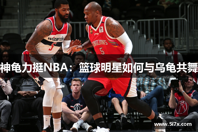 神龟力挺NBA：篮球明星如何与乌龟共舞